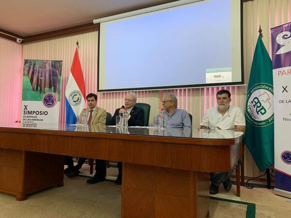 Buscan desmitificar la crianza del búfalo y generar renta en terrenos marginales - Nacionales - ABC Color