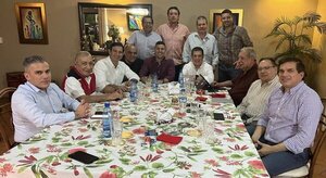 Honor Colorado no apelará decisión del TSJE sobre uso del padrón, afirman - ADN Digital