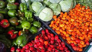 Incorporar a pequeños productores a la agricultura moderna, clave para transformar el sector, según el BID