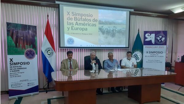 Expo: Lanzaron Simposio de Búfalos y se conoció el ejemplar más pesado (Dimitri, un toro Nelore de 1.145 kilos)