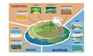 Paisajes o espacios naturales. Concepto. Elementos principales - Escolar - ABC Color