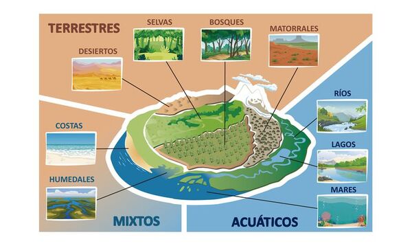 Paisajes o espacios naturales. Concepto. Elementos principales - Escolar - ABC Color