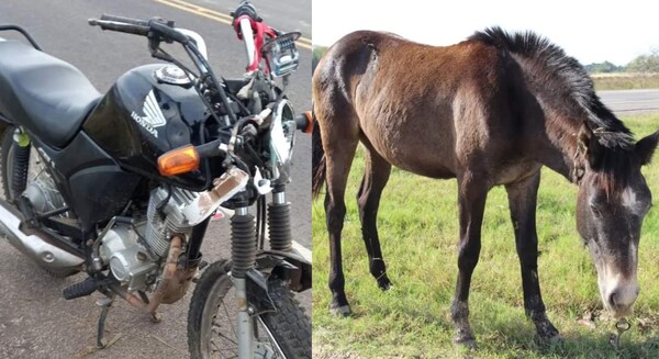 Joven madre muere tras chocar contra un caballo - Noticiero Paraguay