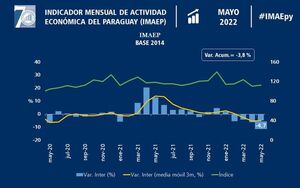Actividad económica cayó 4,7% en mayo - Economía - ABC Color