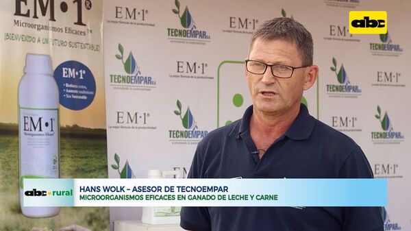 Microorganismos eficaces en ganado de leche y carne - ABC Rural - ABC Color