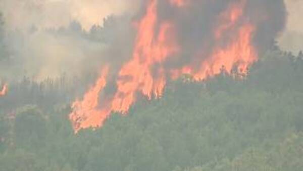 Alerta por fuego con varios incendios forestales incontrolados en Portugal | 1000 Noticias