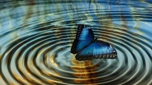 Un tuit y el efecto mariposa - El Independiente
