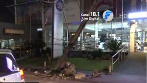 Colectivo quedó sin frenos, pasó luz roja y chocó