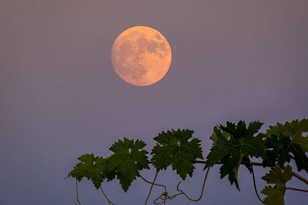 Video: Superluna de Ciervo se podrá apreciar hoy - Mundo - ABC Color