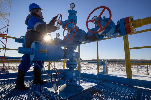 UE planea medidas para mitigar impacto de eventual interrupción de gas ruso | Internacionales | 5Días