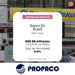La cartera de créditos del Banco Do Brasil aumentó 13% a mayo | Bancos | 5Días