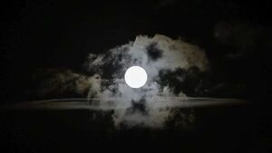 Superluna de ciervo: ¿A qué se debe su nombre y cómo se podrá ver?