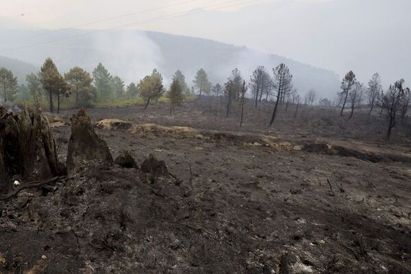 Las altas temperaturas alimentan los incendios en el sur de Europa - Mundo - ABC Color