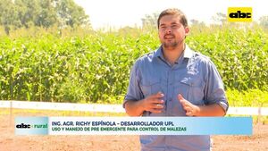 Uso y manejo de pre emergente para control de malezas - ABC Rural - ABC Color