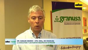 La avicultura y los nuevos desafíos en nutrición - ABC Rural - ABC Color