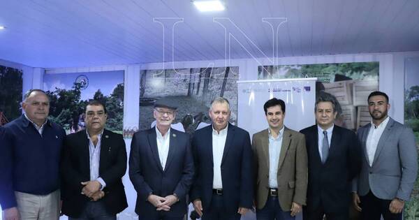 La Nación / Procadenas beneficia a 2.000 productores nacionales con la diversificación en sus fincas