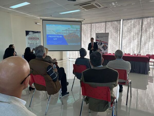 Cámara de Comercio de Lambaré planea proyecto de ley para dinamizar la importación - Economía - ABC Color