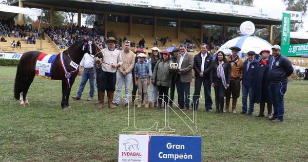 La Nación / Huinca, de Ganadera Sofía, resultó como el Gran Campeón criollo