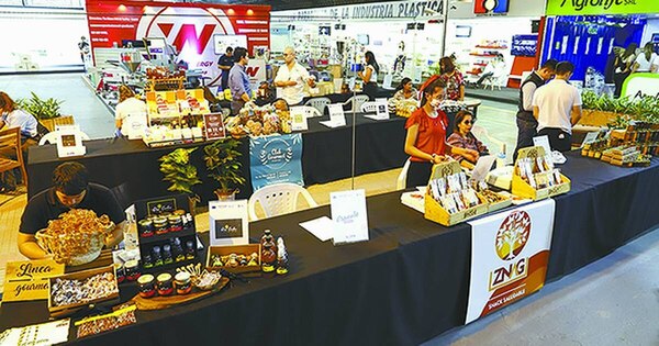 La Nación / Mipymes podrán realizar envíos internacionales