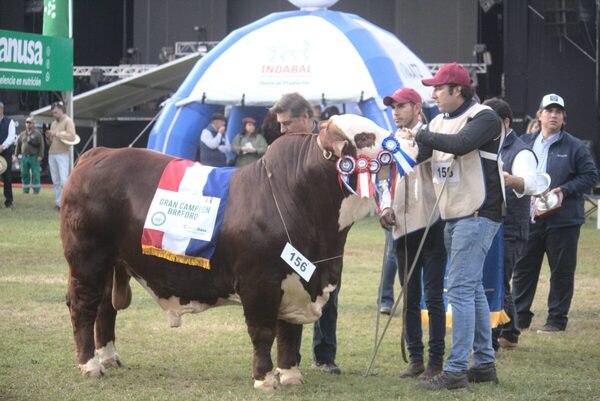 Gran Campeón Braford fue para Diego Duarte Olmedo