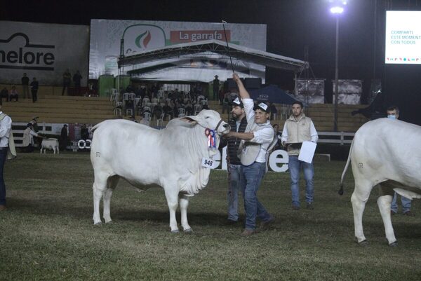 En hembras, Goya logró el Gran Campeonato en astadas y Mowiza en mochas