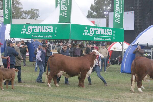 Agroganadera La Hermandad se consagró con la Gran Campeona Braford