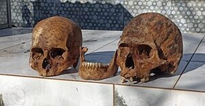 Profanan tumbas de muertos no visitados por familiares en cementerio de Don Bosco – Diario TNPRESS
