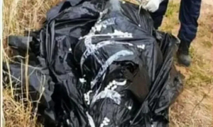 Unos motociclistas encuentran a un cadáver que estaba envuelto en una bolsa negra - OviedoPress