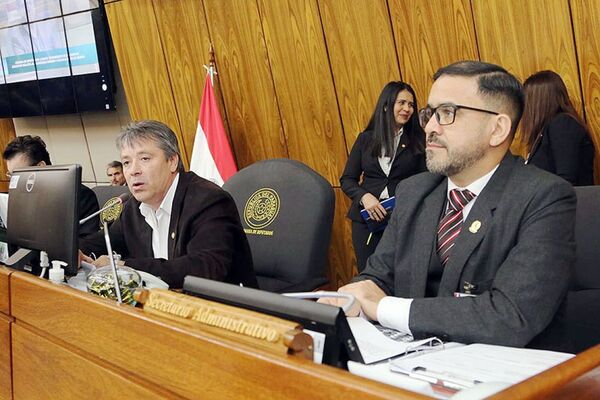 Diario HOY | Desidia en IPS: "La situación se vuelve insostenible", dice titular de Diputados