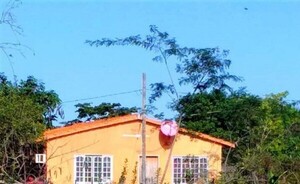 Están imputadas mujeres que habrían matado a su mamá a golpes