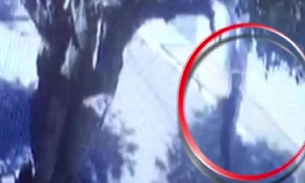 Ahuyentó a ladrón de su motocicleta - SNT