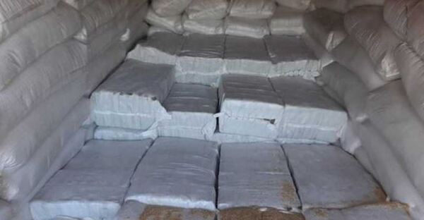 Incautan más de 5.000 kilos de cocaína en Bélgica escondida en cargamento de arroz proveniente de Paraguay