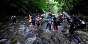 Cuatro migrantes venezolanos murieron en la selva del Darién, frontera entre Colombia y Panamá