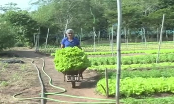 Ñanemba´éva: Tobati reko - SNT