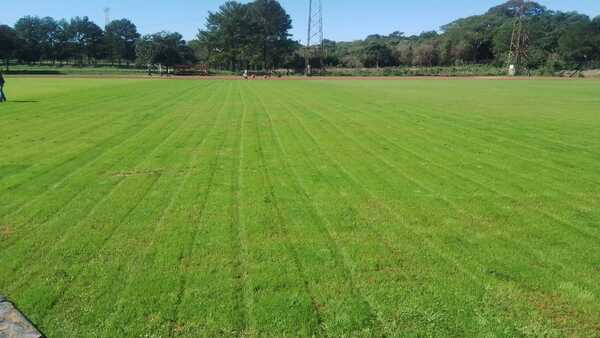 Centro de Alto Rendimiento luce nuevo campo de juego