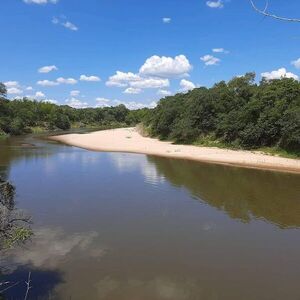 Piden declarar patrimonio natural y cultural a los humedales del río Tebicuary - Nacionales - ABC Color