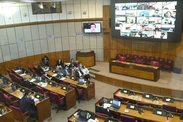 Senado aprueba aumento de G. 11.114 millones para bonificaciones en Contraloría - Política - ABC Color