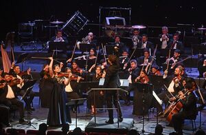 Una noche de sentimientos desbordantes con la OSN, Constanza Martínez y Ernesto Estigarribia - Música - ABC Color