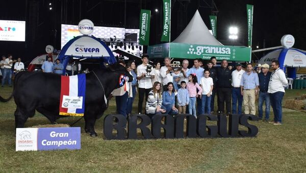 Las estrellas de la Expo: Estos son los ejemplares que cautivaron en pista y se convirtieron en grandes campeones