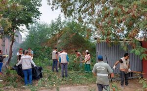 Intervienen terreno por falta de limpieza y agua estancada en Asunción - Nacionales - ABC Color