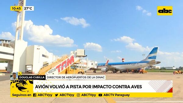 Avión chocó contra un buitre y causó un gran susto - ABC Noticias - ABC Color