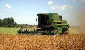 ZAFRIÑA: marcado aumento en el área de siembra de soja y maíz revela informe del INBIO