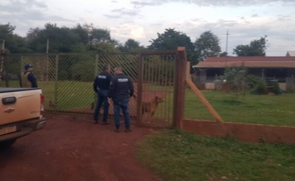 Allanamientos en busca de asaltantes de transportador de caudales