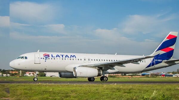 Avión aborta despegue tras impactar contra un buitre