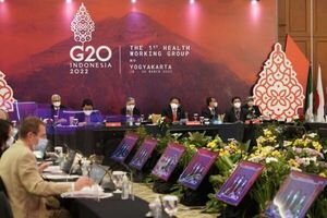 Países occidentales condenaron la guerra en Ucrania en la reunión del G20