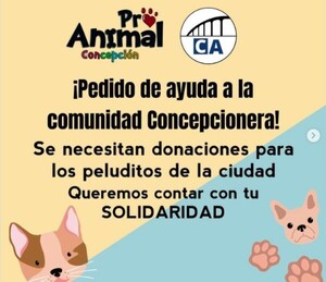 Realizan campaña a favor de animales abandonados | Radio Regional 660 AM