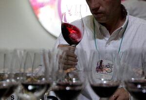 Expovinos vuelve presencial en Colombia con vinos orgánicos y veganos - MarketData