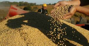 La Nación / Caída del 54% en envíos de soja durante el primer semestre se debe a menor producción, afirman