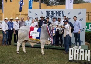 Jakob Korker y Mario Rempel lograron los Grandes Campeones Terneros