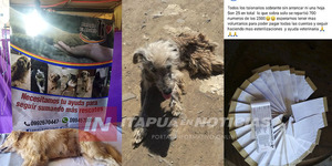 POR FALTA DE AYUDA, DECIDEN CERRAR EL REFUGIO EL ABUELO